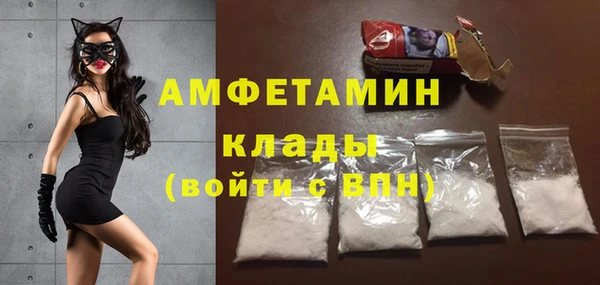 прущие грибы Михайловск