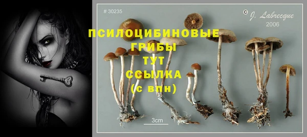 экстази Михайловка