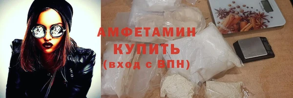 прущие грибы Михайловск