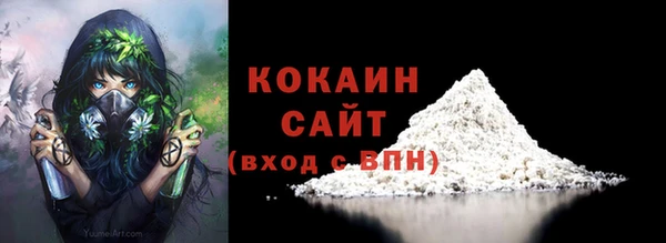 прущие грибы Михайловск