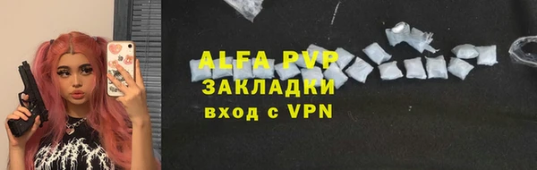 прущие грибы Михайловск
