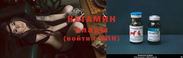 прущие грибы Михайловск