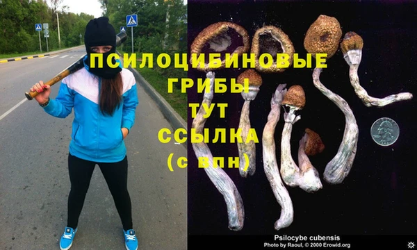 альфа пвп Медногорск
